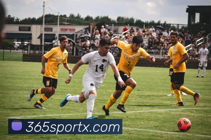 多媒体互动体验